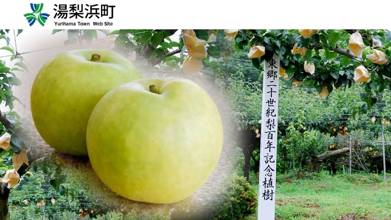 ネットビジネスthe Road to Super Infopreneur 副業 The truth behind the conclusion of the Japan-US tariff